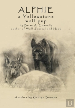 Bertrand.pt - Alphie, A Yellowstone Wolf Pup