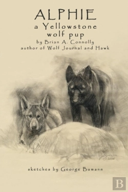 Bertrand.pt - Alphie, A Yellowstone Wolf Pup