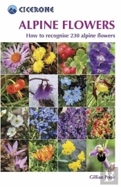 Alpine Flowers