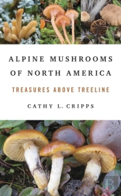 Alpine Mushrooms Of North America