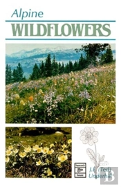 Alpine Wildflowers