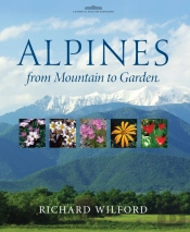 Alpines, From Mountain To Garden