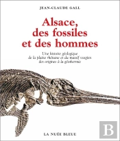 Alsace, Des Fossiles Et Des Hommes ; Une Histoire Geologique De La Plaine Rhenane Et Du Massif Vosgien