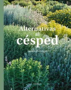 Bertrand.pt - Alternativas Al Cesped