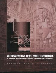 Alternative High-Level Waste Treatments At The Idaho National Engineering And Environmental Laboratory