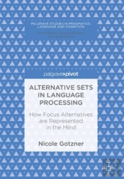 Alternative Sets In Language Processing