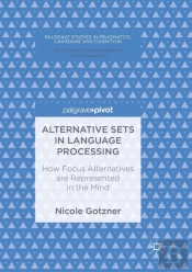 Alternative Sets In Language Processing