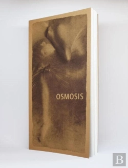 Bertrand.pt - Alvin Booth: Osmosis