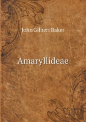 Amaryllideae