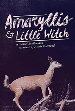 Bertrand.pt - Amaryllis & Little Witch