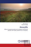 Amaryllis