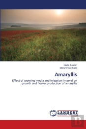 Amaryllis