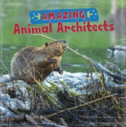 Bertrand.pt - Amazing Animal Architects