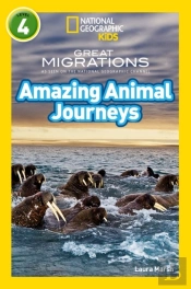 Amazing Animal Journeys