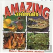 Amazing Animals