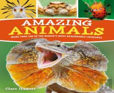 Amazing Animals