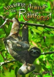 Amazing Animals Of The Rainforest
