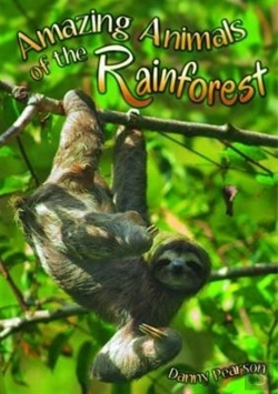 Bertrand.pt - Amazing Animals Of The Rainforest