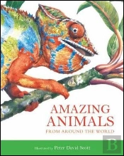 Amazing Animals