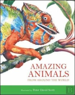 Bertrand.pt - Amazing Animals