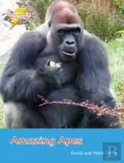 Amazing Apes