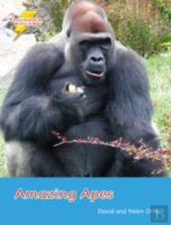Bertrand.pt - Amazing Apes