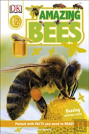 Amazing Bees