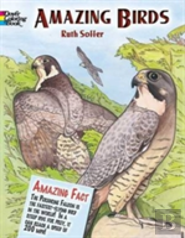 Amazing Birds
