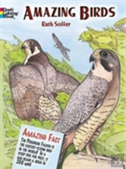 Bertrand.pt - Amazing Birds