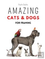 Amazing Cats And Dogs For Framing