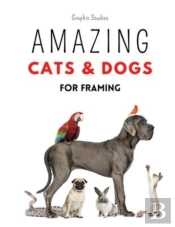 Amazing Cats And Dogs For Framing