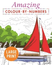 Amazing Colour-By-Numbers Large Print