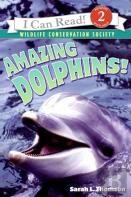 Amazing Dolphins!