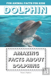 Amazing Facts About Dolphins