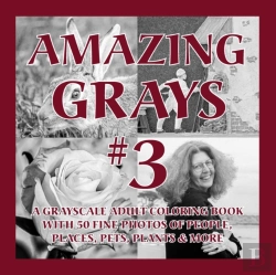 Bertrand.pt - Amazing Grays #3