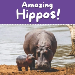 Bertrand.pt - Amazing Hippos!