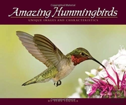 Bertrand.pt - Amazing Hummingbirds