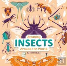 Amazing Insects Around The World