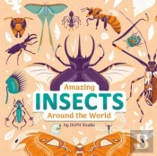 Amazing Insects Around The World