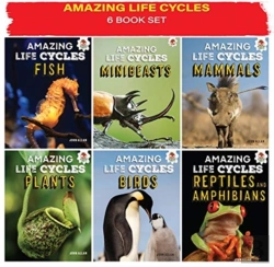 Bertrand.pt - Amazing Life Cycles 6 Pack