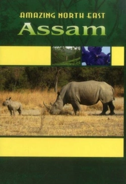 Bertrand.pt - Amazing North East_ Assam