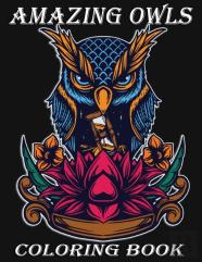 Amazing Owls Coloring Book