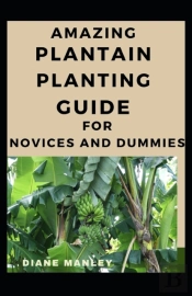 Amazing Plantain Planting Guide For Novices And Dummies