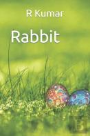 Amazing Rabbit Drawing Book