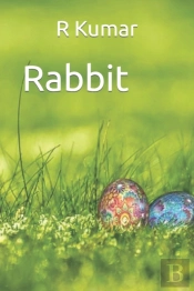 Amazing Rabbit Drawing Book