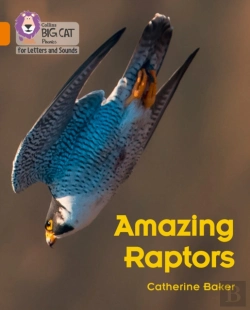 Bertrand.pt - Amazing Raptors
