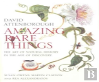 Amazing Rare Things