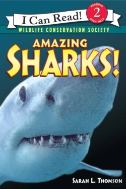 Bertrand.pt - Amazing Sharks!