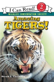 Amazing Tigers!