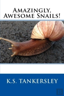 Bertrand.pt - Amazingly, Awesome Snails!
